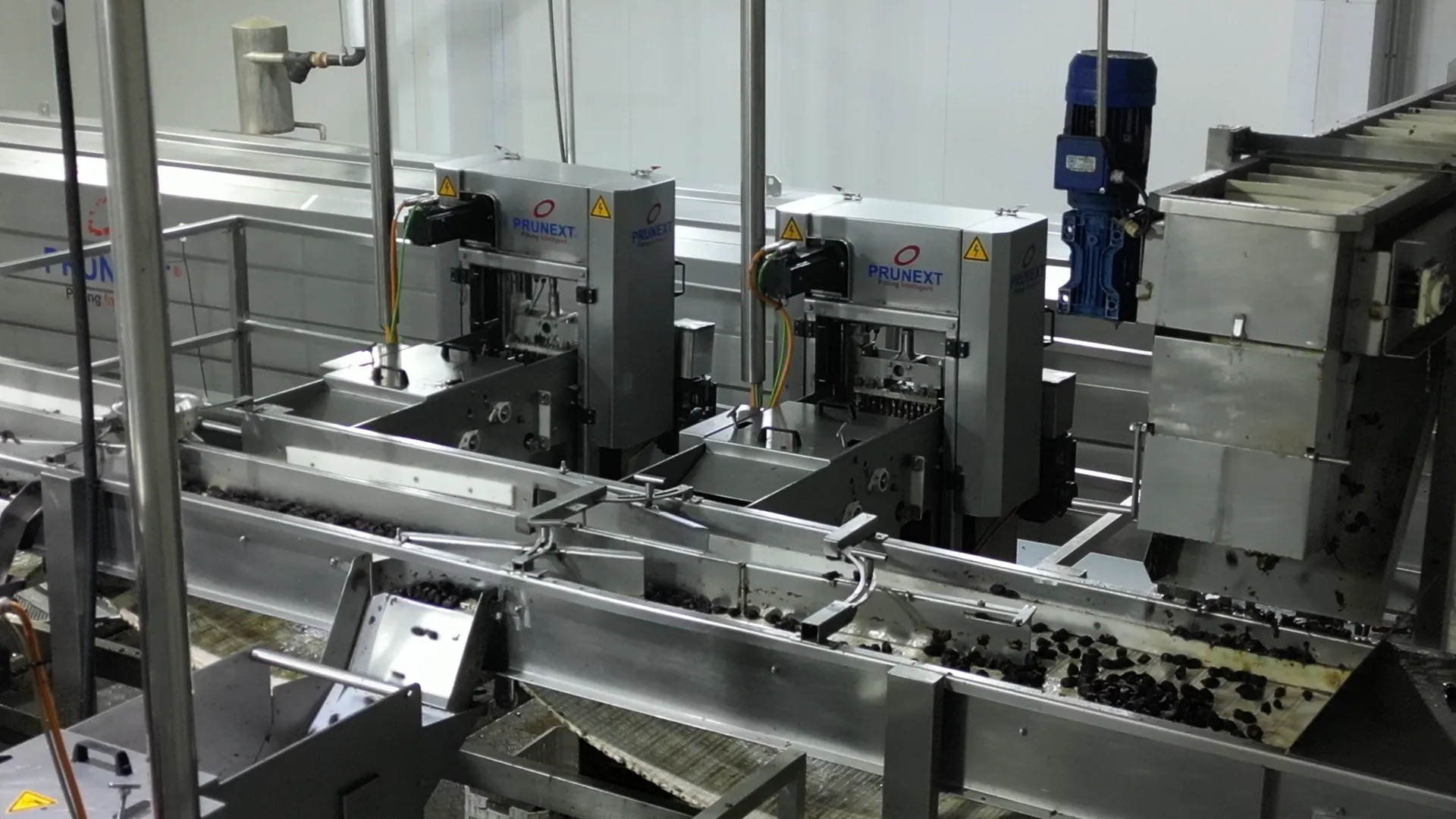 Prune pitting machines in the softening area
